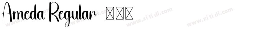 Ameda Regular字体转换